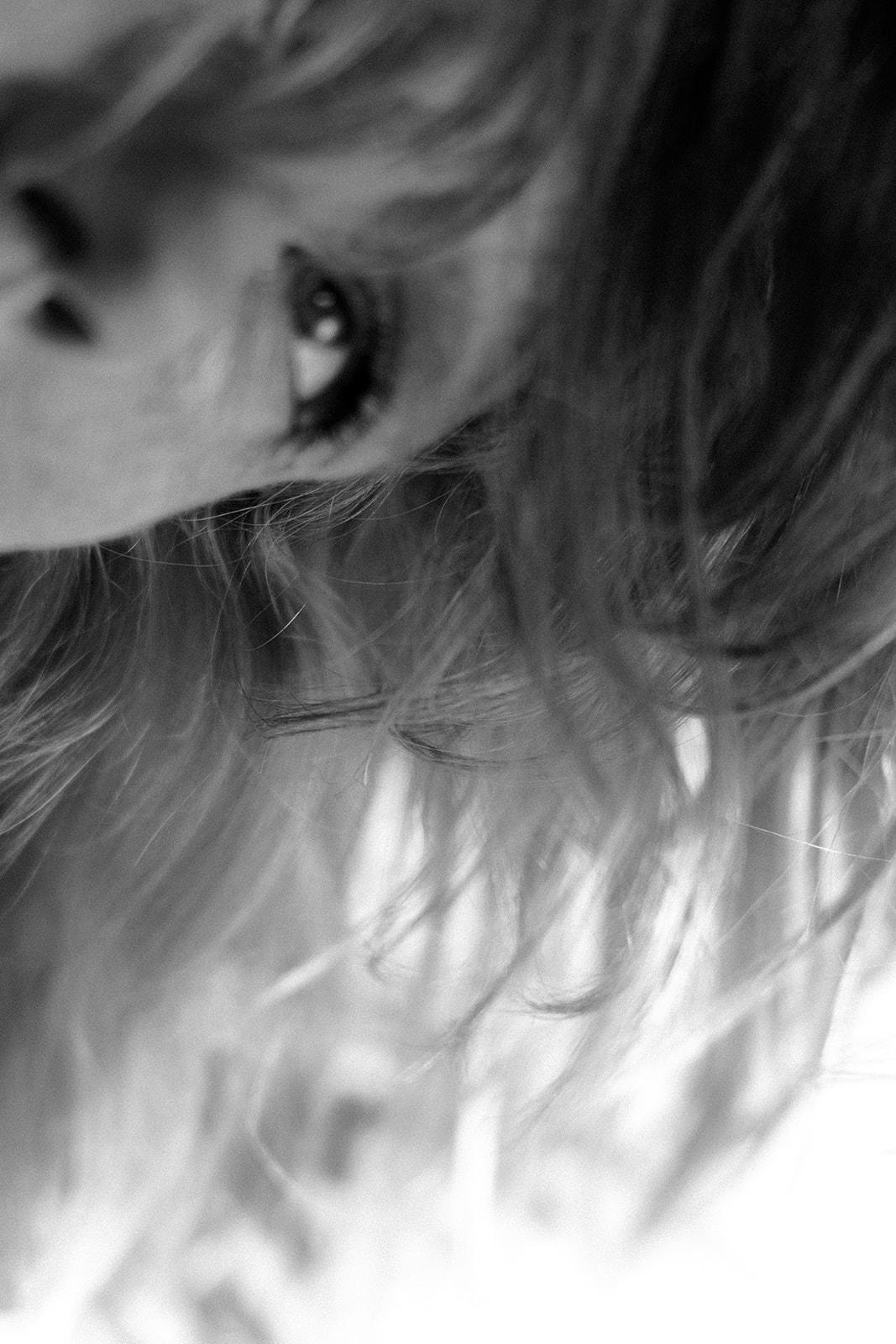 Eyes + the Nervous System